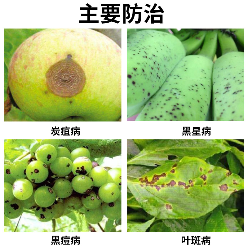 沪联品冠25%氟硅唑-咪鲜胺白腐病黑痘病疮痂病流胶病