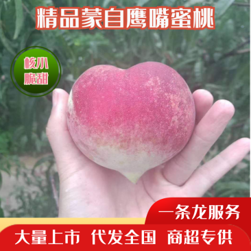 【量大从优】云南蒙自鹰嘴桃隆重上市，鲜甜可口，可视频看货