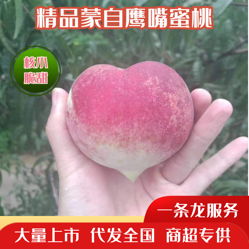 【量大从优】云南蒙自鹰嘴桃隆重上市，鲜甜可口，可视频看货