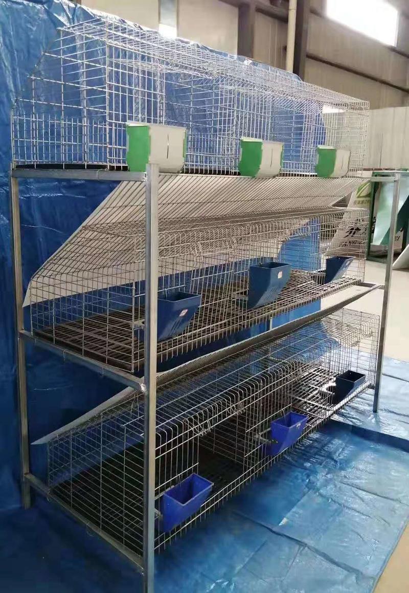 山东兔笼，精品兔笼，兔笼养殖生产一条龙服务，全国发货