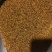 菟丝子水洗内蒙1公斤起邮质量保证无杂质正品菟丝子不包邮