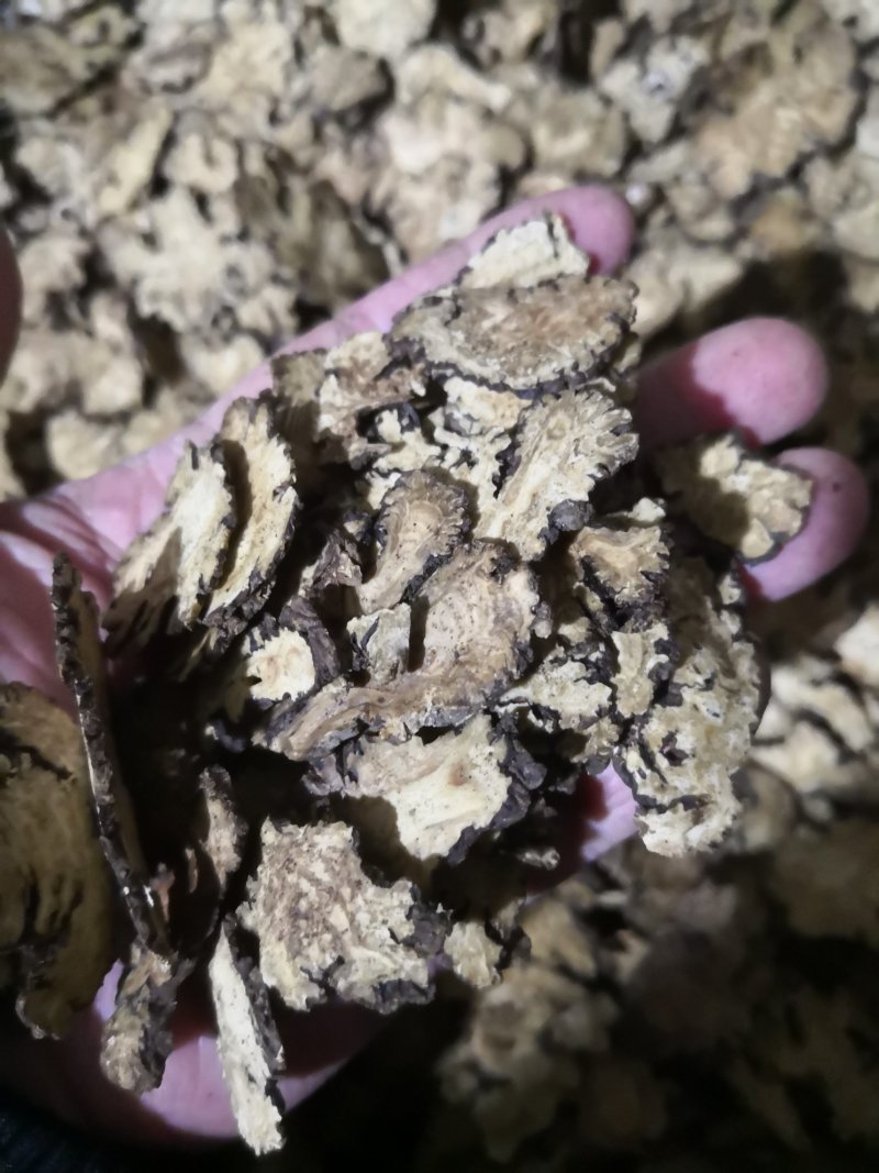 川芎薄片四川1公斤起批无硫无添加不包邮批发各种中药材