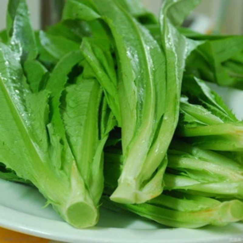 四季油麦菜种子大叶高产耐寒耐热肉质脆嫩纤维少量大优惠