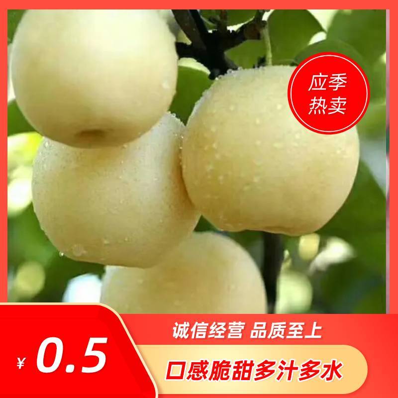 【🔥热卖中】精品黄冠青梨脆甜可口货源充足
