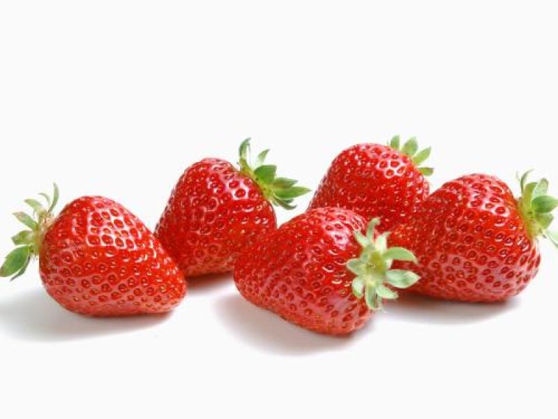 草莓种子四季种植奶油草莓籽四季草莓籽草莓种籽子