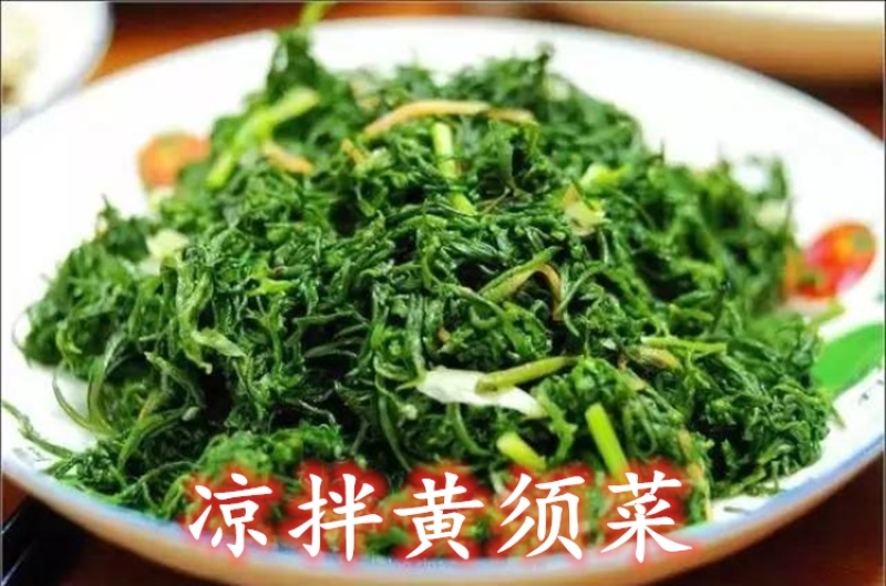 速冻黄须菜碱蓬菜碱蓬草酒店餐饮食材