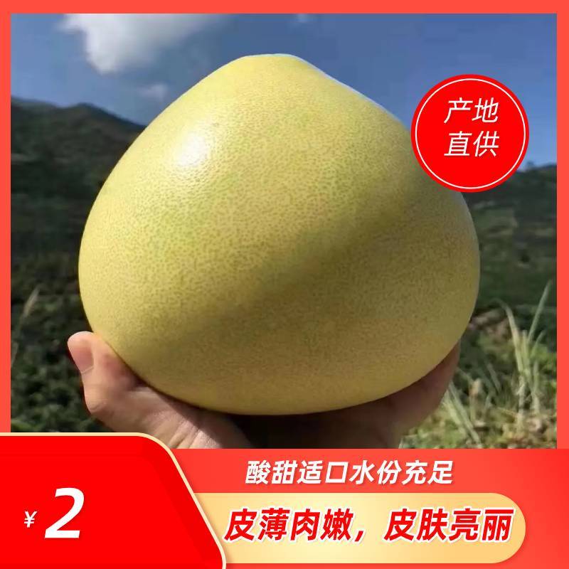 福建平和琯溪三红老树柚可视频看货产地直供支持线上保障交易