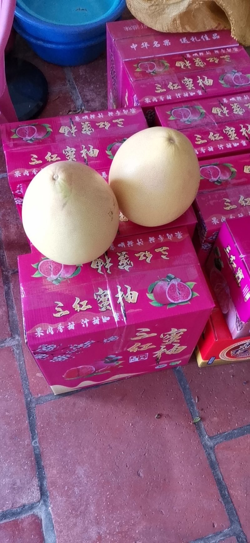 福建平和琯溪三红老树柚可视频看货产地直供支持线上保障交易