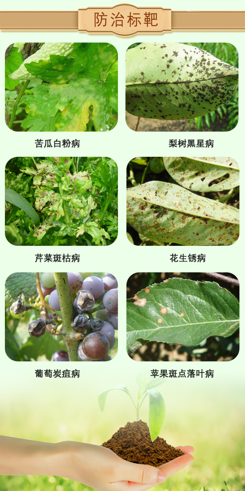 苯醚甲环唑10%黑星病斑枯病农药杀菌剂