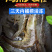 一件代发包邮4斤装海捕大虾对虾白虾可微商直播团购