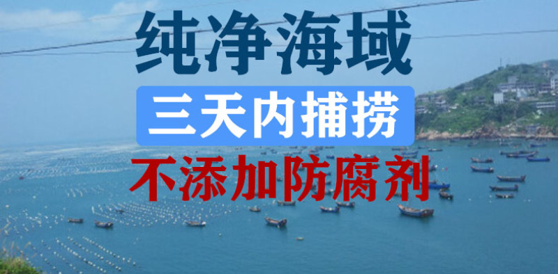 一件代发包邮4斤装海捕大虾对虾白虾可微商直播团购