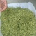 湘蕾金银花苗（5号）/五号花王/提供技术辅导/保证纯度