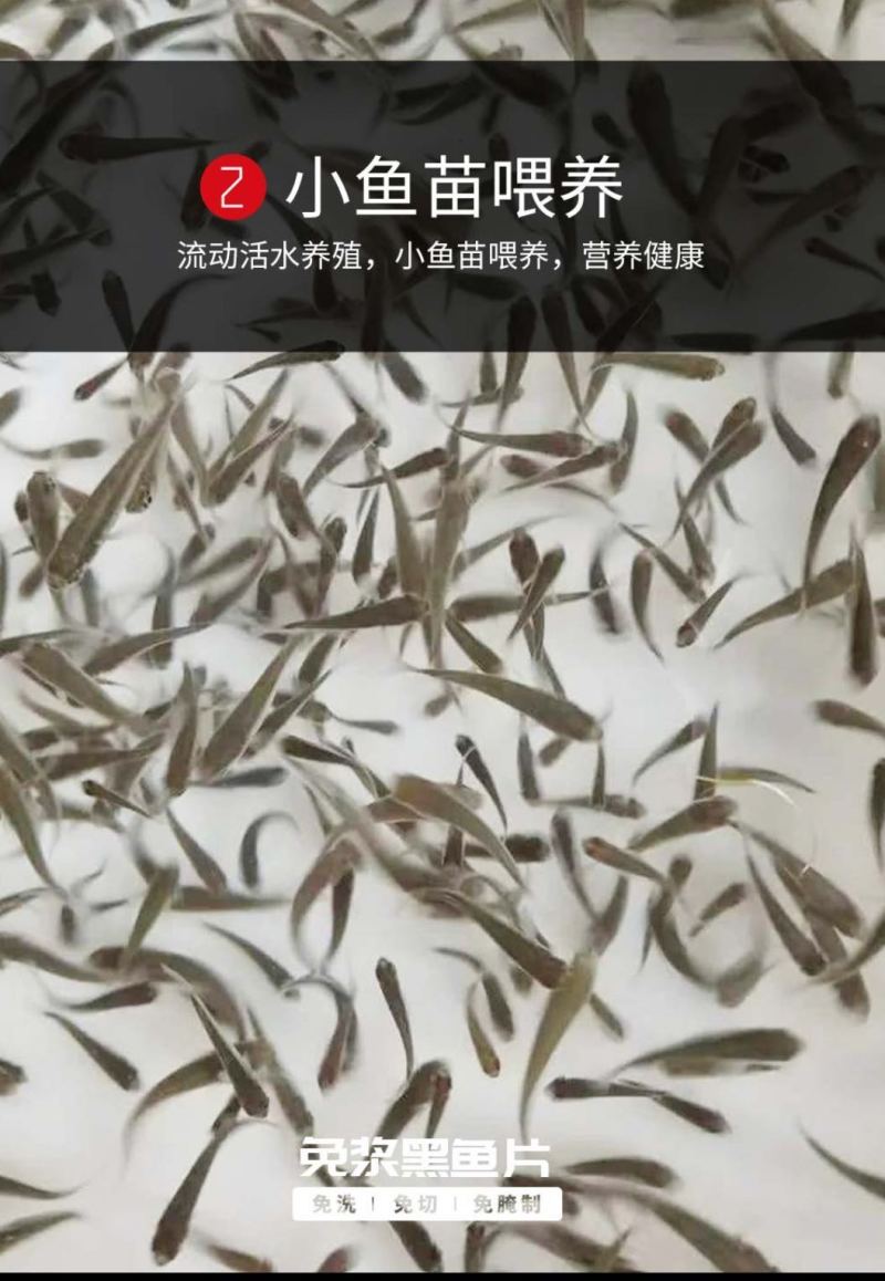 恒兴恒免洗黑鱼片250g/盒