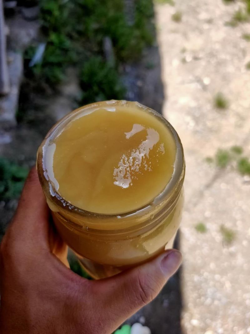 【假一赔十】农家土蜂蜜，深山老林养殖，大量供应中