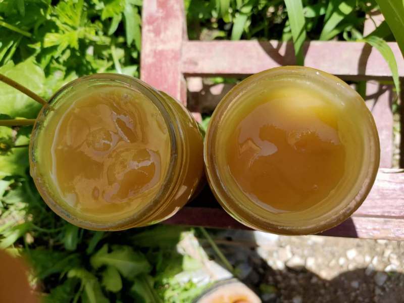 【假一赔十】农家土蜂蜜，深山老林养殖，大量供应中