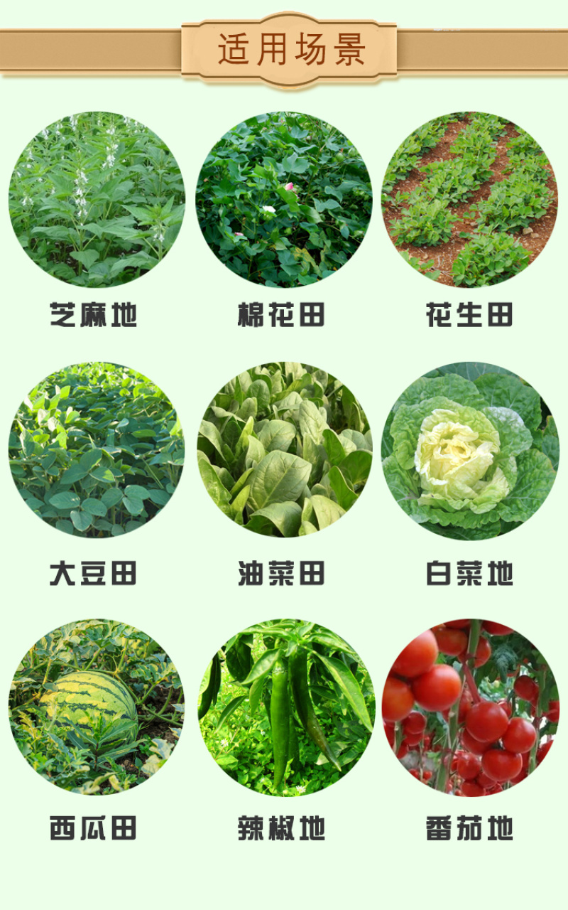 精喹禾灵芝麻除草剂大蒜葱辣椒姜西瓜茄子禾本科杂草除草剂