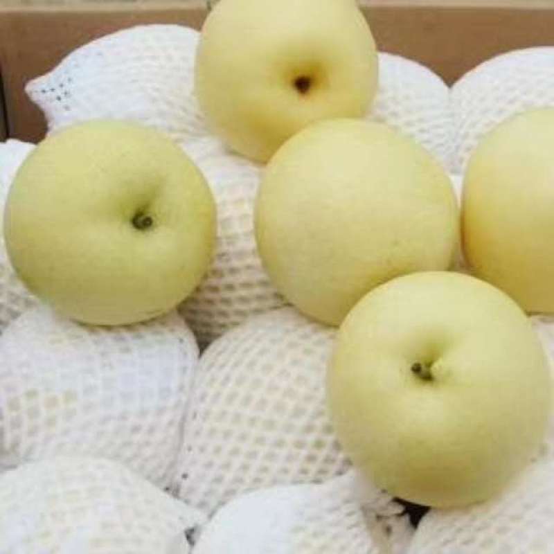 【惊爆价】精品金顶谢花酥梨皮薄肉厚产地直供
