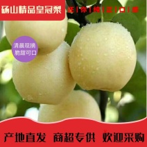 【惊爆价】精品金顶谢花酥梨皮薄肉厚产地直供