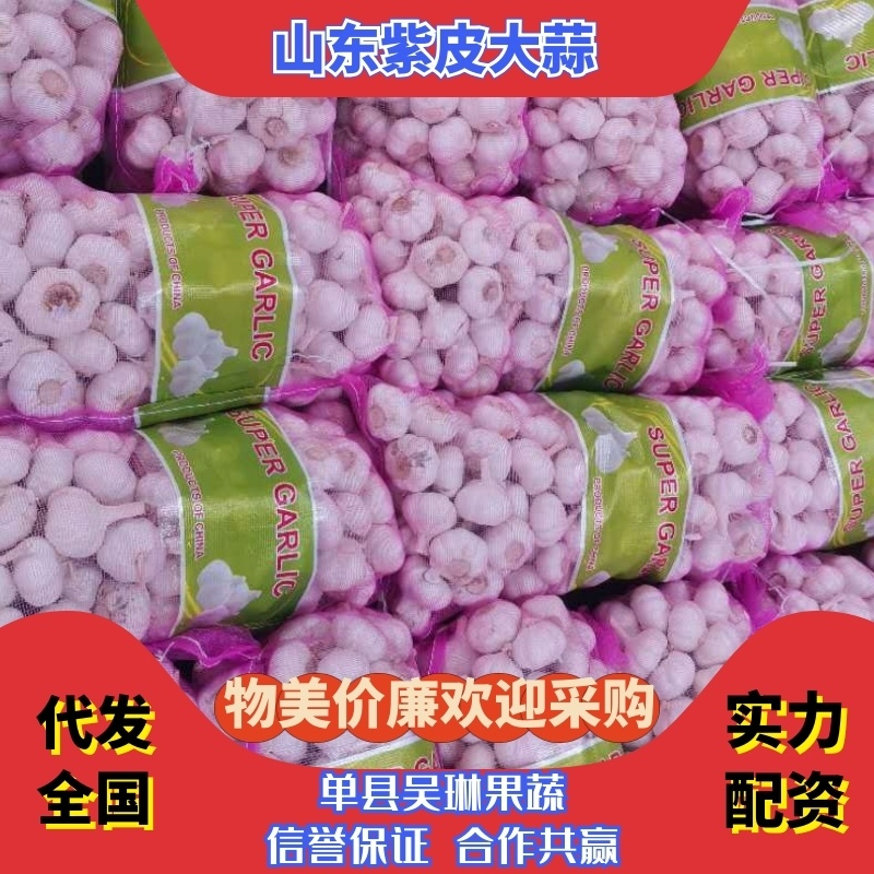优质大蒜，紫皮大蒜基地直供，农家种植山东精品大蒜