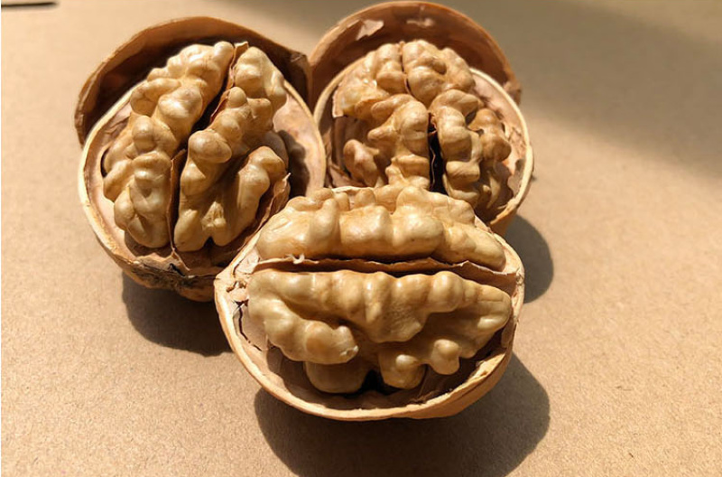 新疆特产阿克苏185纸皮核桃500g薄核桃