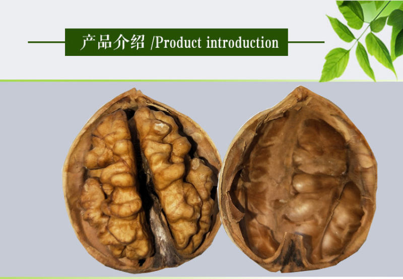 新疆特产阿克苏185纸皮核桃500g薄核桃