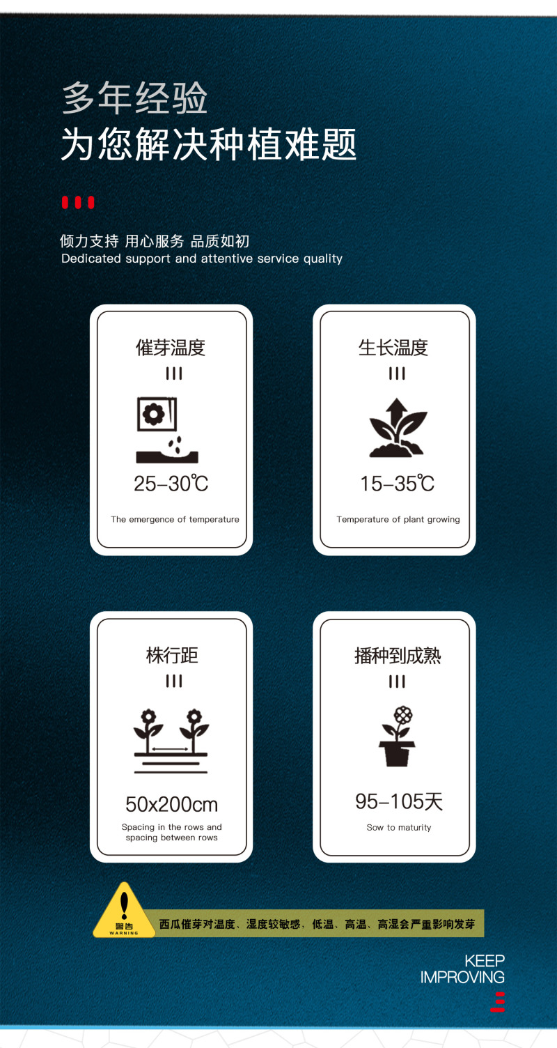 中科茂华西瓜种子中科八号懒汉正宗西农八号大果