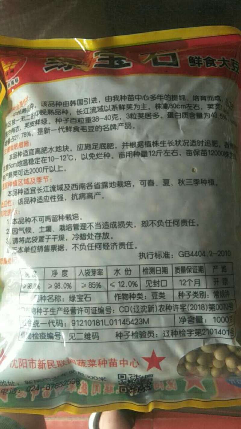 绿宝石毛豆种子中晚熟大粒青毛豆非转基因种籽高产大田用种高