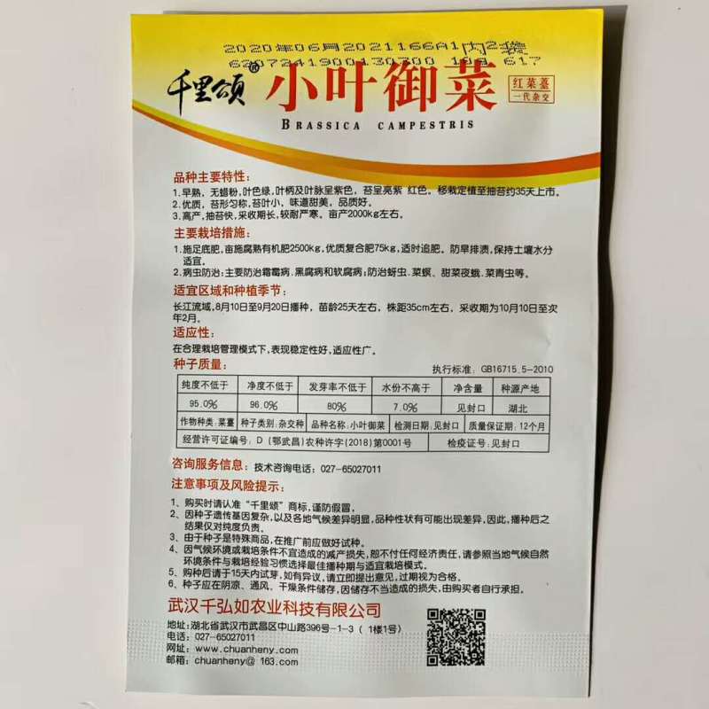 红菜苔种子白菜苔种子红油菜心种子四季易种高产蔬菜种子