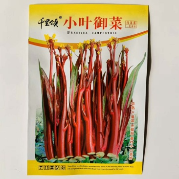 红菜苔种子白菜苔种子红油菜心种子四季易种高产蔬菜种子