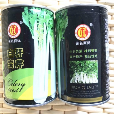 芹菜种籽香芹菜白芹菜种子清香四季冬季播四川白杆实芹蔬菜青