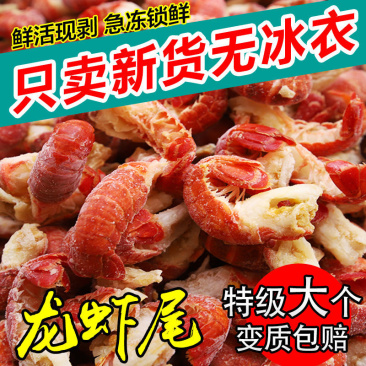干冻龙虾尾无冰衣，肉质饱满视频看货餐饮直供量大优惠