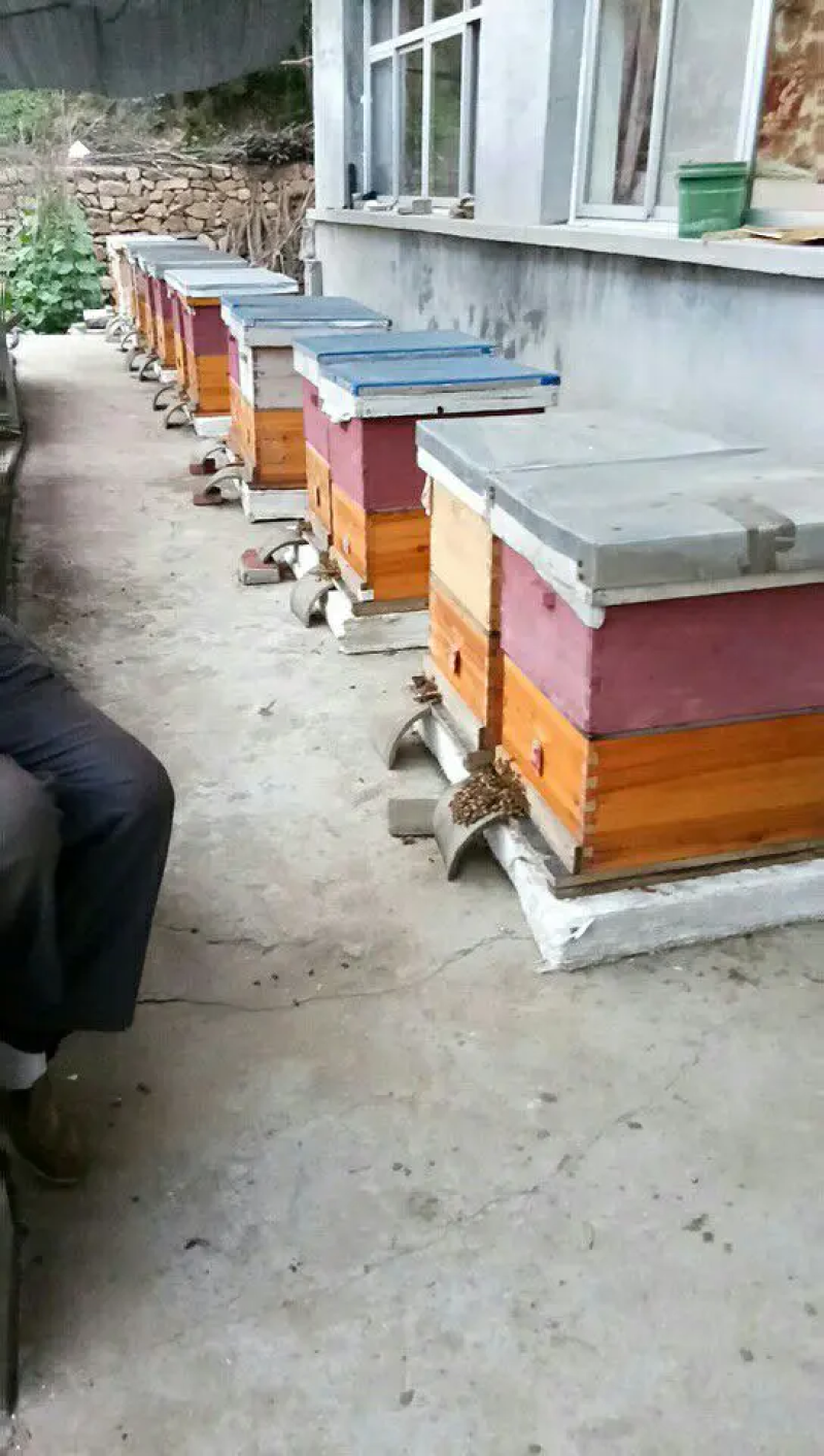 自己家养殖蜜蜂，采百花蜂蜜，无任何添加，营养全面