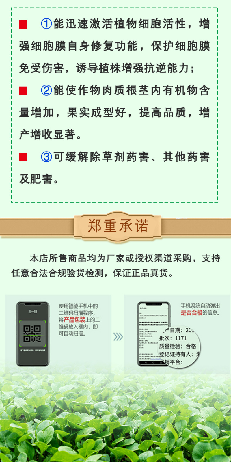 天达2116地下根茎地专用马铃薯甜菜大蒜氨基酸水溶肥料