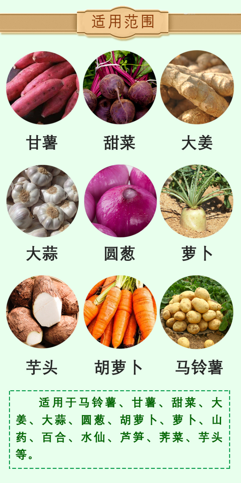 天达2116地下根茎地专用马铃薯甜菜大蒜氨基酸水溶肥料