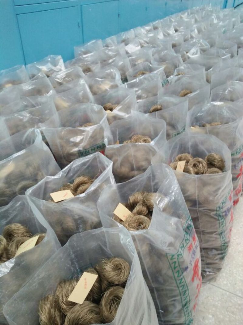 【按需代工】红薯粉丝圈圈粉口感筋道耐煮专用麻辣烫