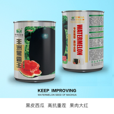 中科茂华瓜果种子非洲黑霸王西瓜种子黑皮红瓤