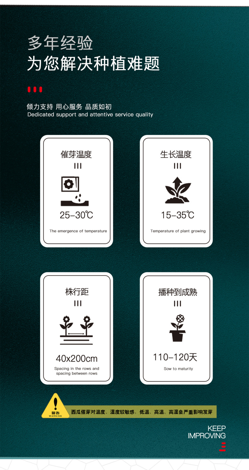 中科茂华瓜果种子非洲黑霸王西瓜种子黑皮红瓤