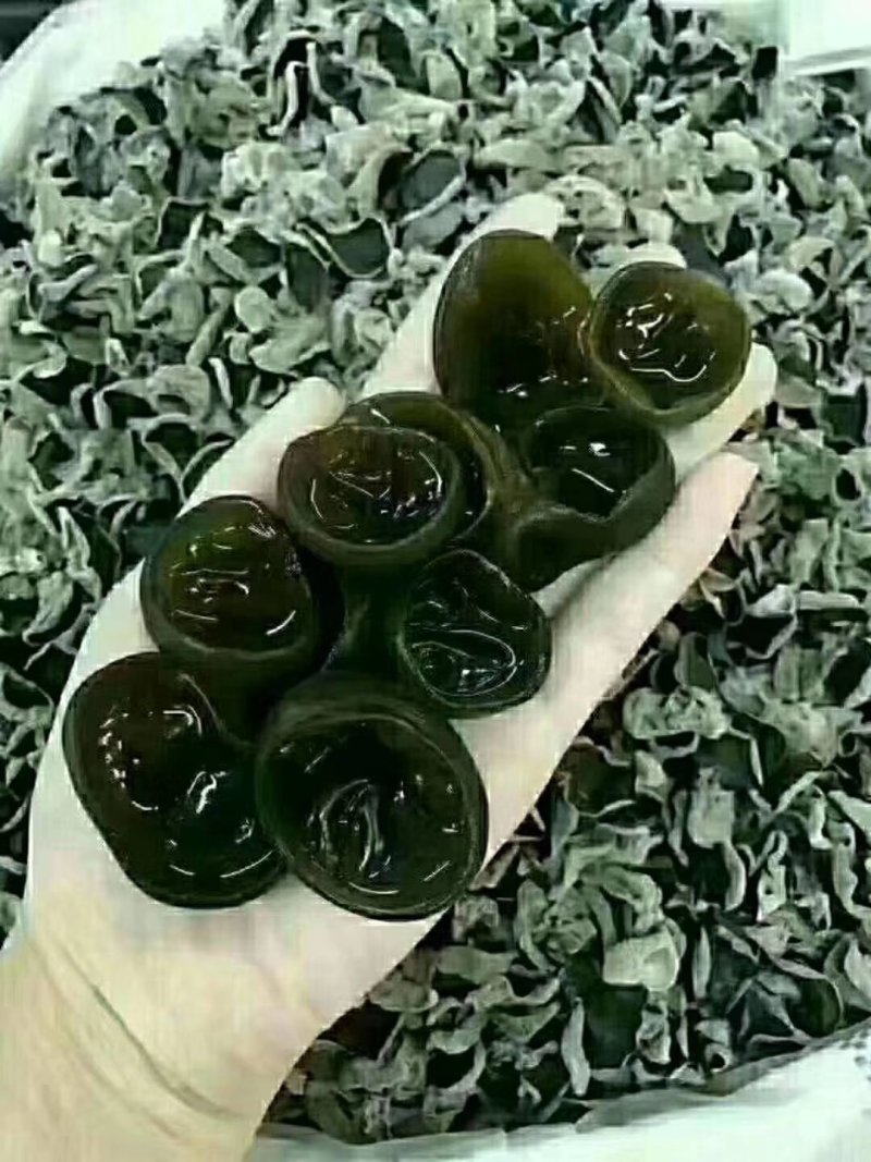 【超级秒杀】东北秋木耳椴树木吊带黑木耳特级一袋
