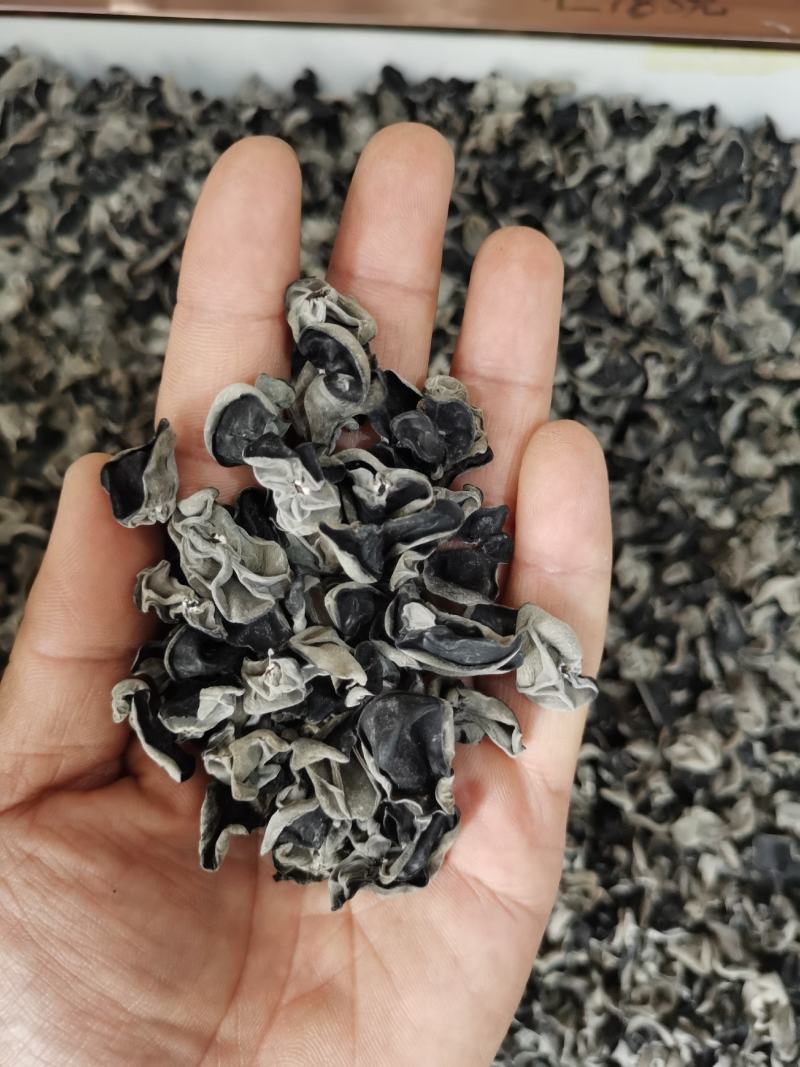 【超级秒杀】东北秋木耳椴树木吊带黑木耳特级一袋