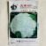 花菜种子松花菜种子早熟生长速度快商品性好基地用种