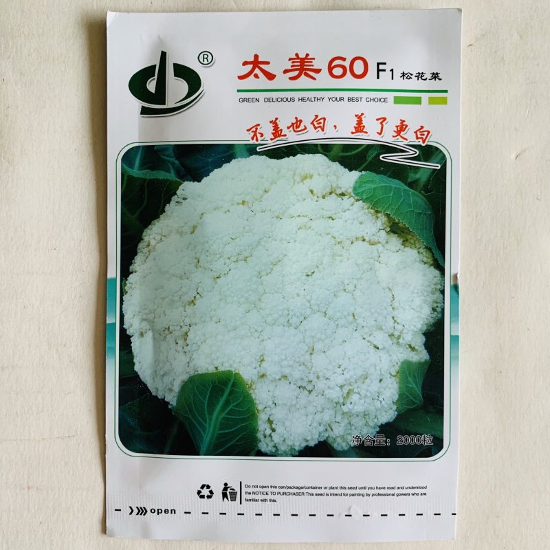 花菜种子松花菜种子早熟生长速度快商品性好基地用种