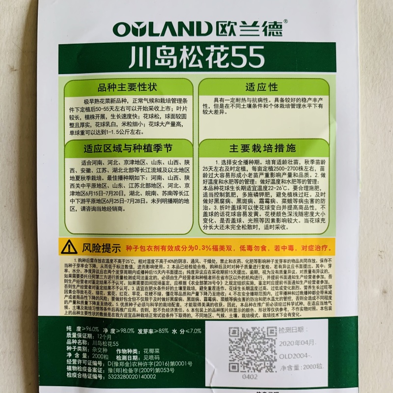 花菜种子松花菜种子早熟生长速度快商品性好基地用种
