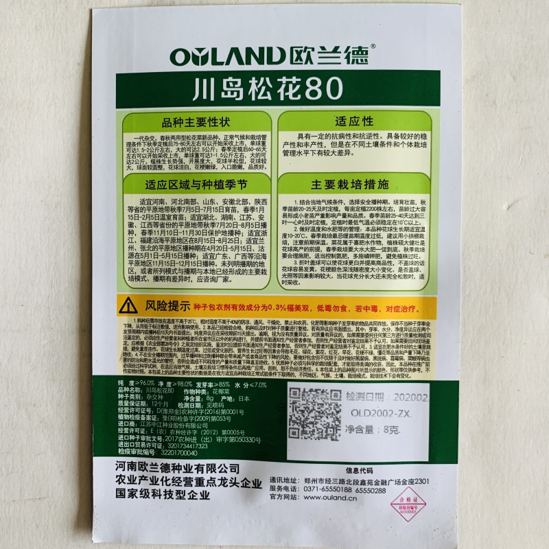 花菜种子松花菜种子早熟生长速度快商品性好基地用种