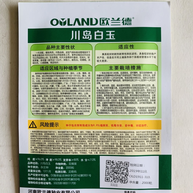 花菜种子松花菜种子早熟生长速度快商品性好基地用种