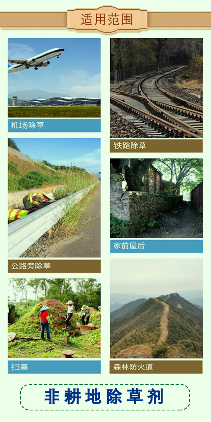 闲四季草铵·草甘膦36%非耕地荒地果园狗牙根小飞蓬除草剂