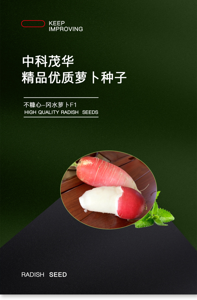 中科茂华蔬菜种子三季脆红冈萝卜种子不糠心大连冈水萝卜