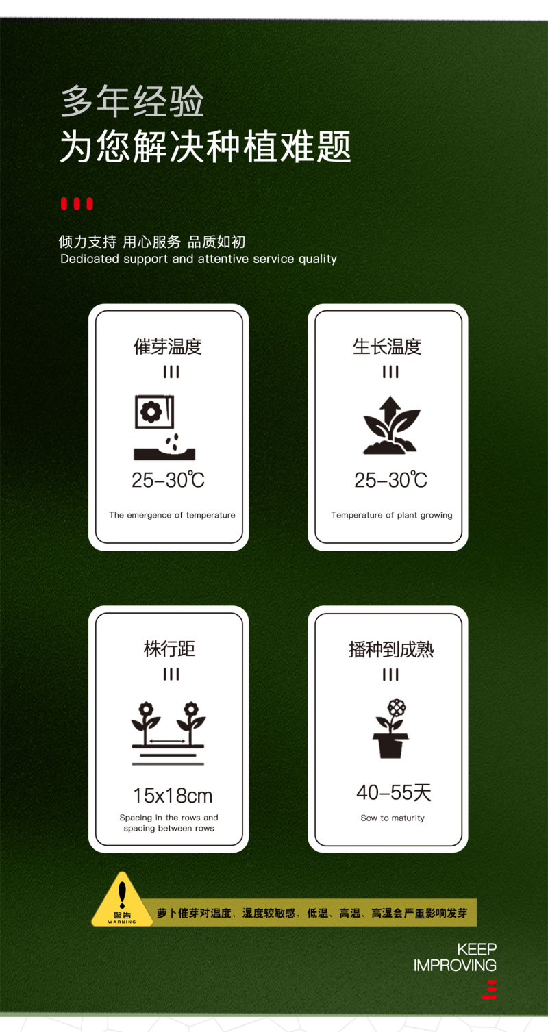 中科茂华蔬菜种子三季脆红冈萝卜种子不糠心大连冈水萝卜