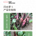 中科茂华蔬菜种子三季脆红冈萝卜种子不糠心大连冈水萝卜