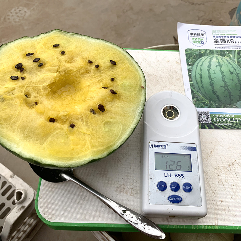 中科茂华瓜果种子礼品瓜種子金福K8果肉黄色口感好