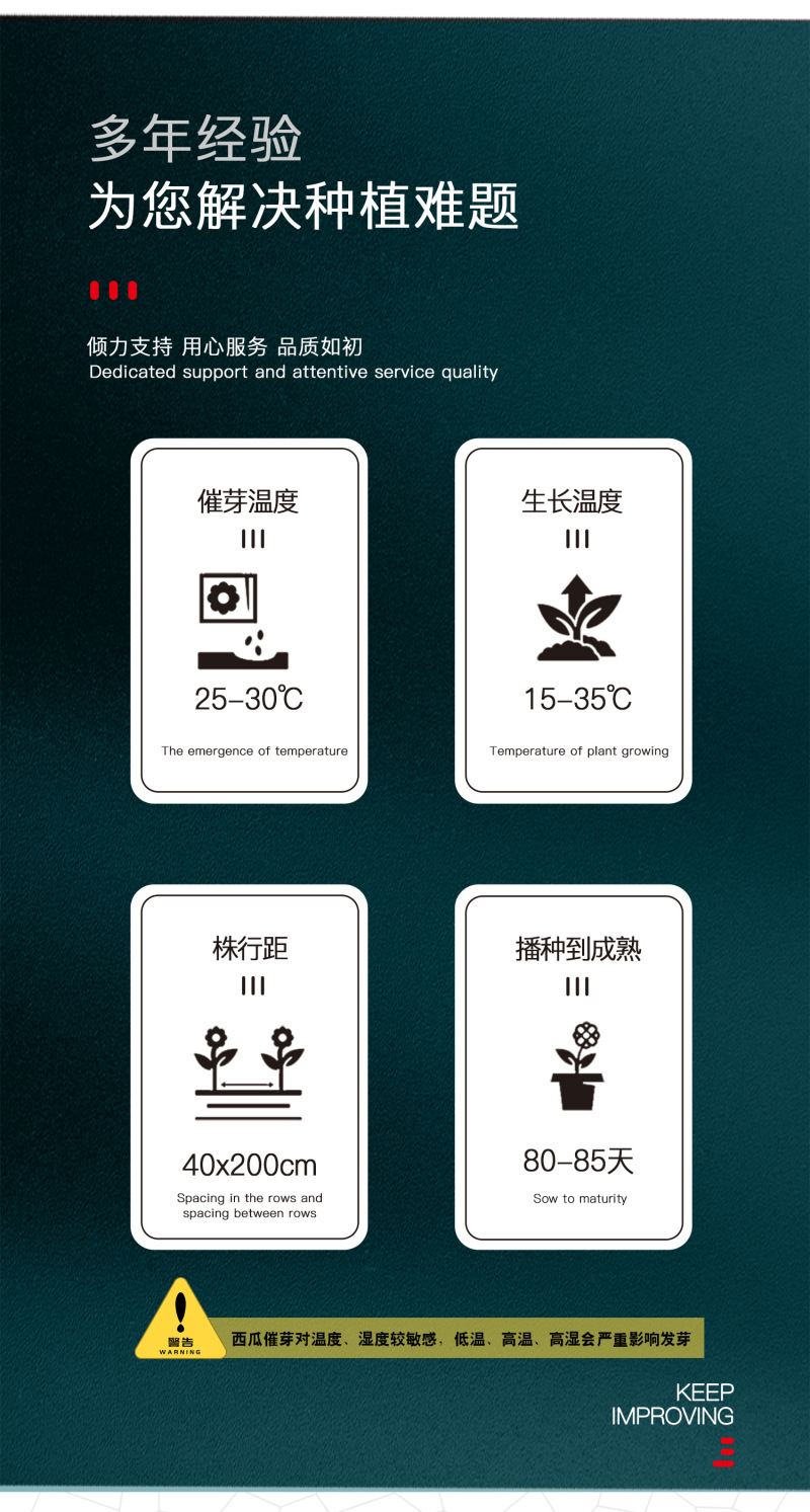 中科茂华瓜果种子礼品瓜種子金福K8果肉黄色口感好